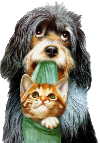 Bonjour  les amis